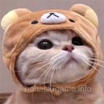 صارف Shoaib Rafiq